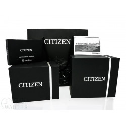 CITIZEN AT8154-82L